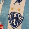 Camisa Paysandu Lobo 2021 - Imagem 2