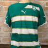 Camisa Costa do Marfim Puma 2010