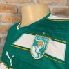 Camisa Costa do Marfim Puma 2010 - Imagem 2