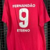 Camisa Internacional Fernandão Eterno F9 licenciada - Image 2