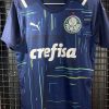 Camisa Palmeiras Puma 2021 goleiro