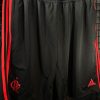 Bermuda Flamengo Adidas 2018 viagem