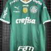 Camisa Palmeiras Puma 2023 Jaílson