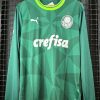 Camisa Palmeiras Puma 2023 mangas longas