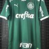 Camisa Palmeiras Puma 2019 Vitor Hugo