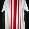 Camisa Chivas Puma 2018 - Imagem 2