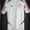 Camisa Dinamarca Adidas 2012 treino branca