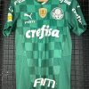 Camisa Palmeiras Puma 2021 Brasileirão Wesley