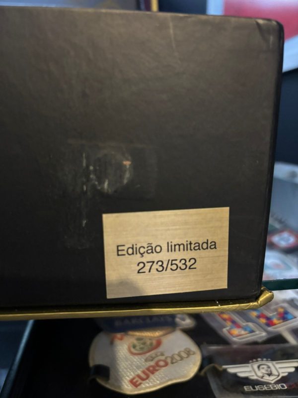Box Eternamente São Marcos Palmeiras Topper 2012 - Imagem 9