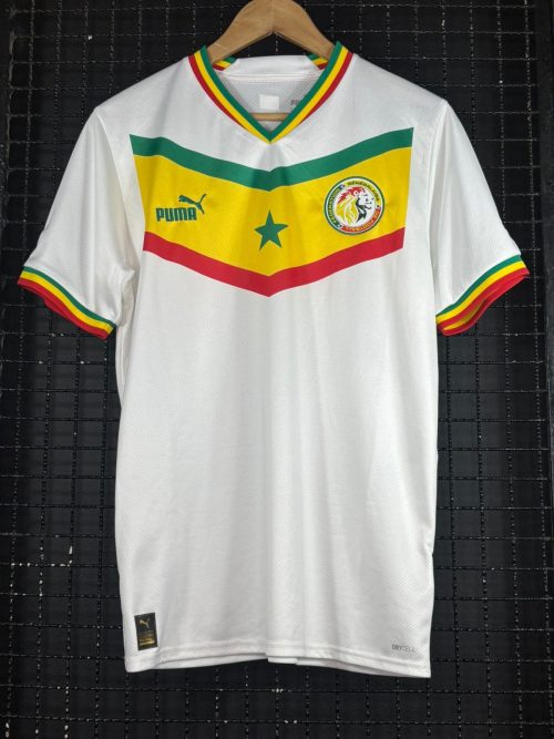 Camisa Senegal Puma 2022