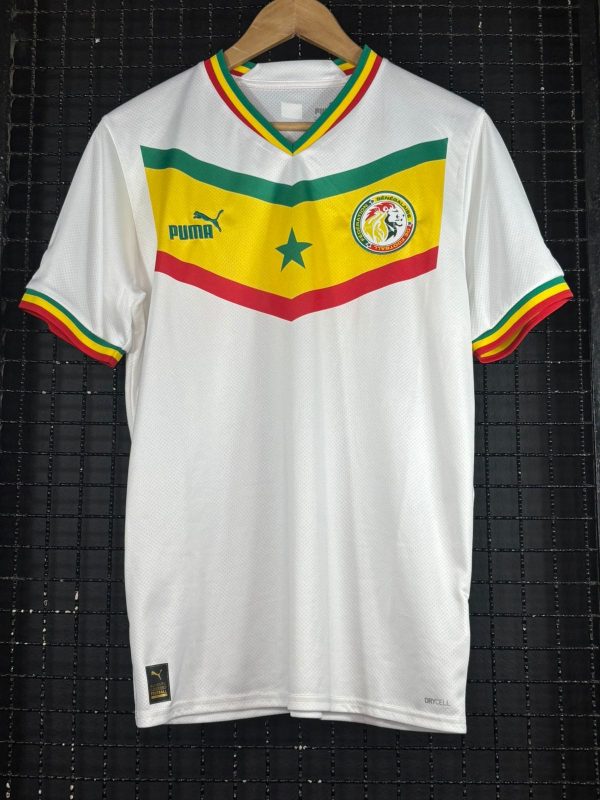 Camisa Senegal Puma 2022