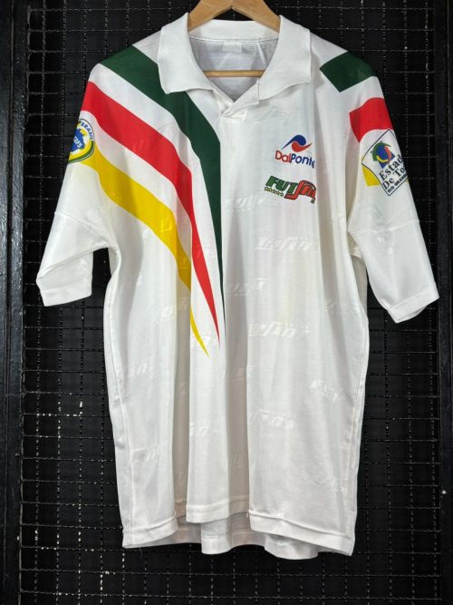 Camisa Seleção Gaúcha de Futsal Dalponte